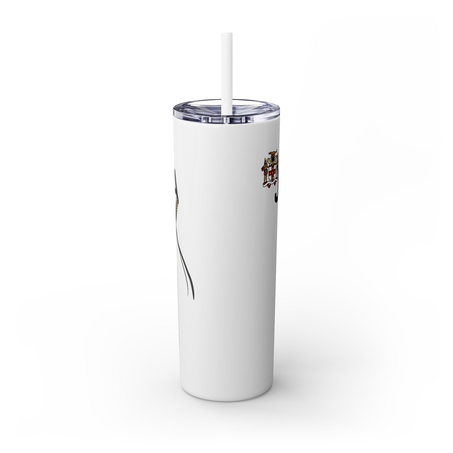 Skinny Tumbler with Straw, 20oz