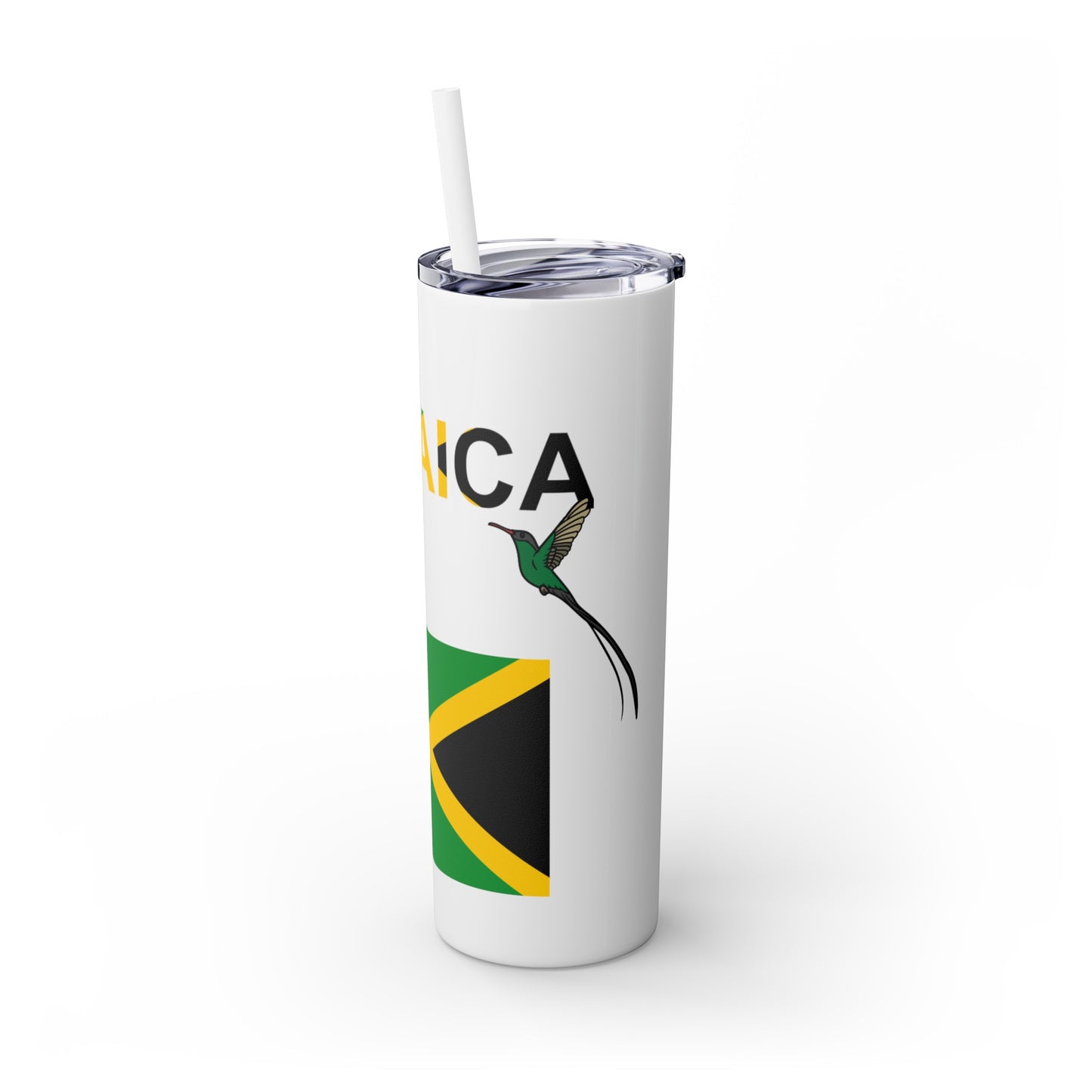 Skinny Tumbler with Straw, 20oz