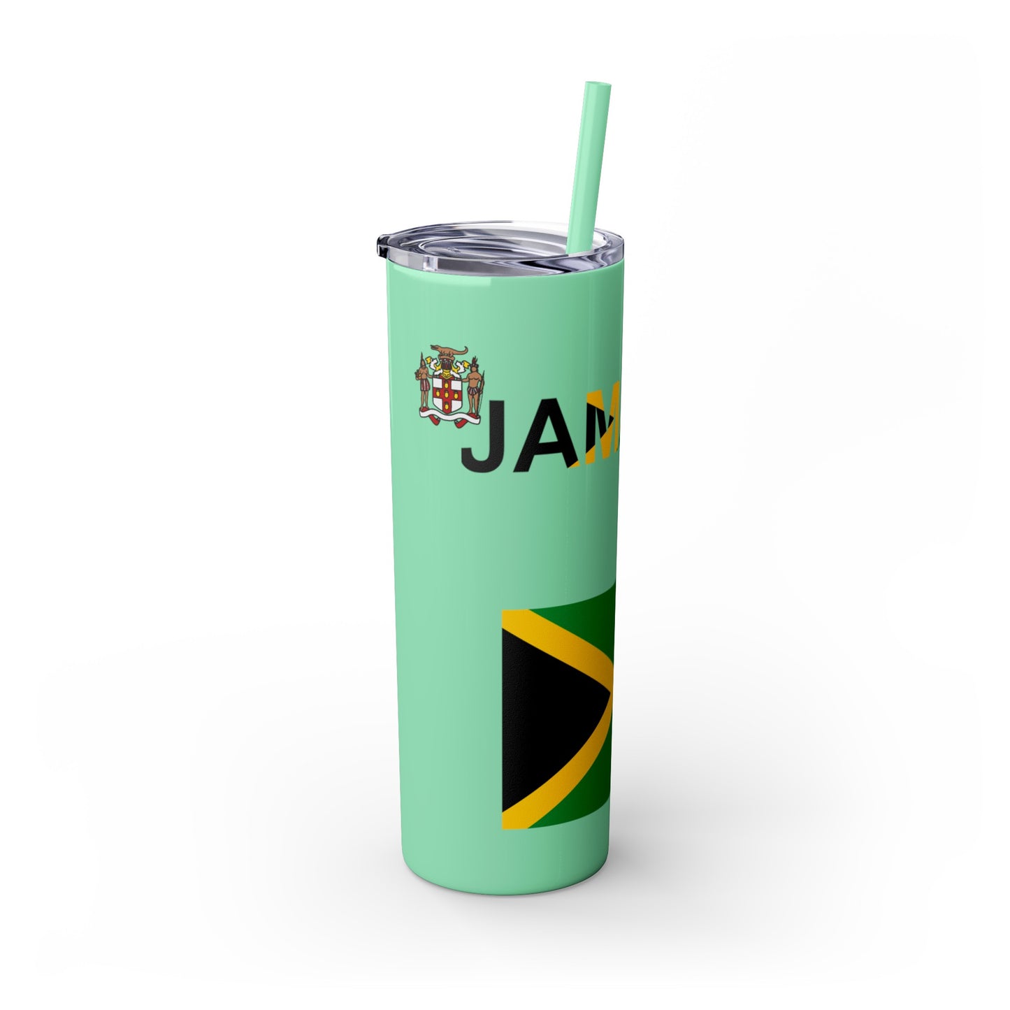 Skinny Tumbler with Straw, 20oz