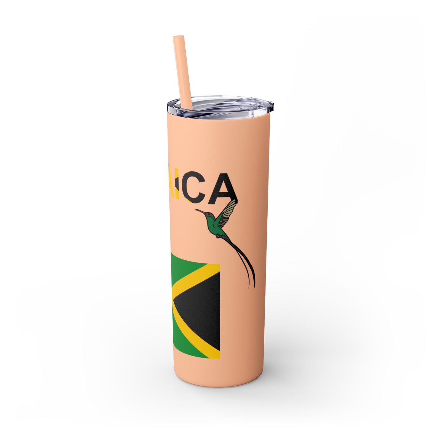 Skinny Tumbler with Straw, 20oz