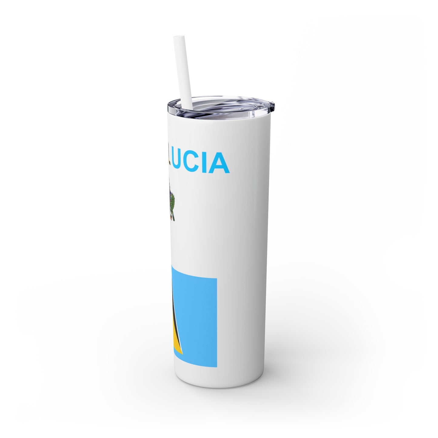 Skinny Tumbler with Straw, 20oz