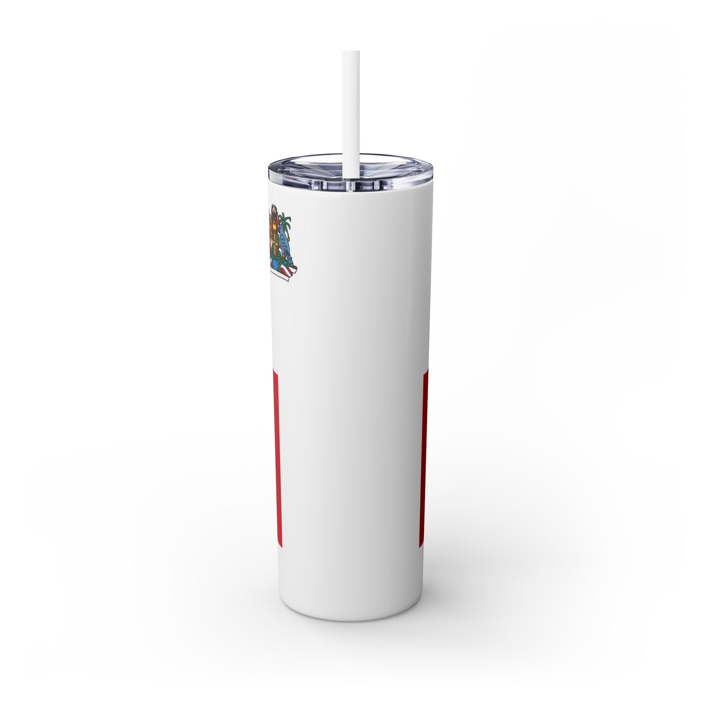 Skinny Tumbler with Straw, 20oz