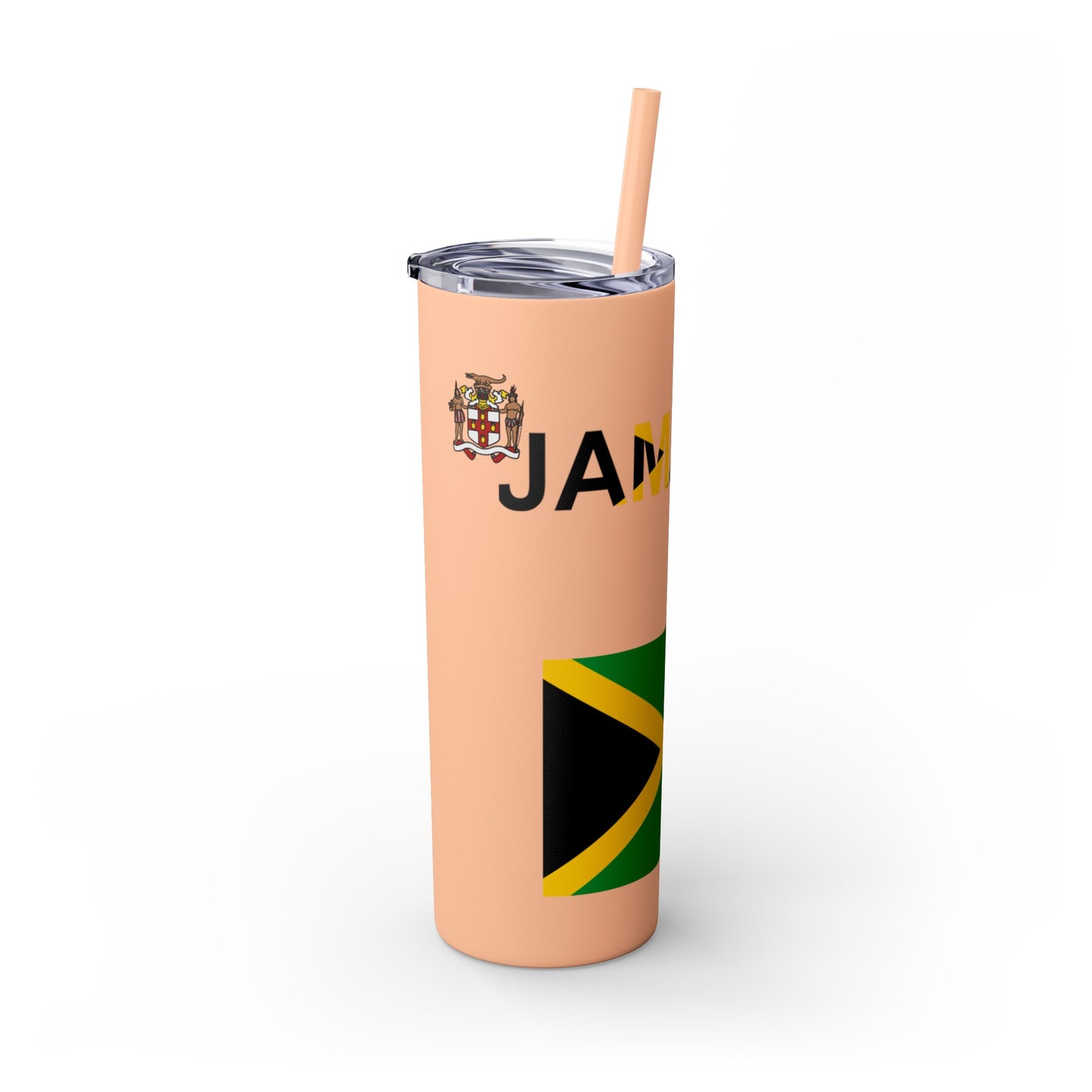 Skinny Tumbler with Straw, 20oz